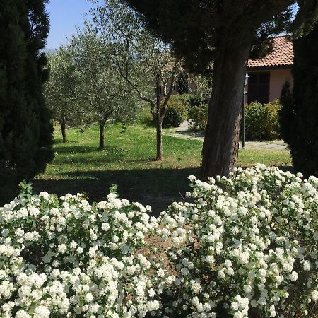 Villa Il Principino Country Resort Vinci Zewnętrze zdjęcie